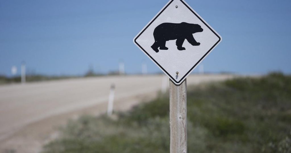 Tory candidate won’t apologize for joking that polar bears could deal with homeless