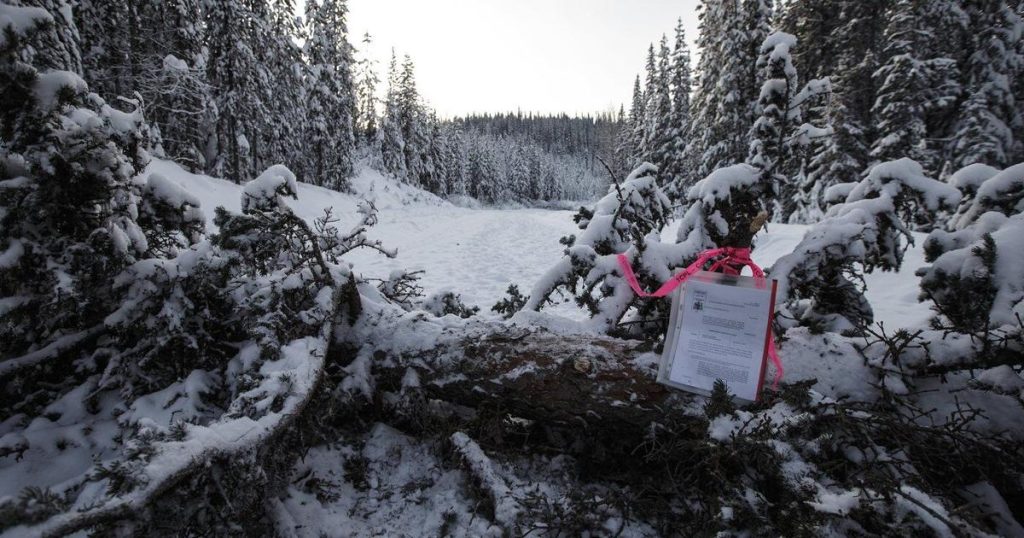 Judge rules RCMP remarks racist, but B.C. pipeline protesters’ convictions will stand