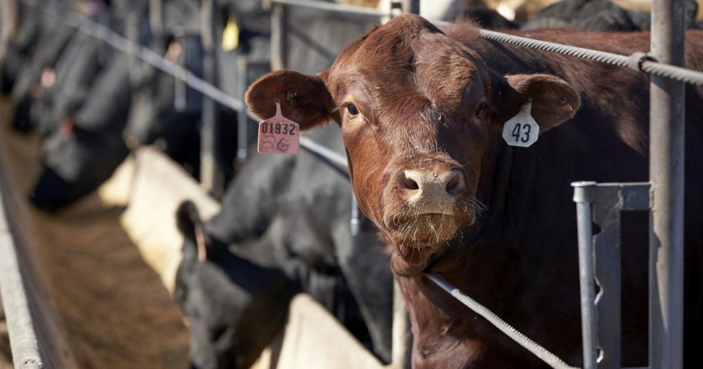 Proposal to ban lab-grown meat in Nebraska gets pushback from ranchers and farm groups