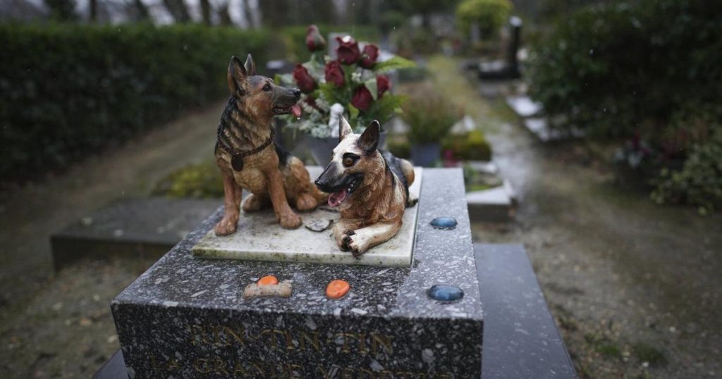 Losing a pet can cut deeper than many people realize. Here’s how friends can help