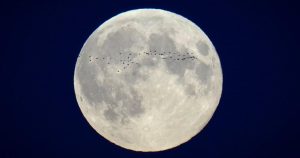 Canadian-made lunar dust repellent heading to the moon aboard Firefly’s Blue Ghost