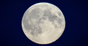 Here’s a look at moon landing hits and misses