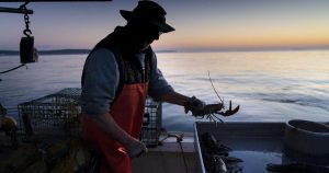 Lobster fishermen can sue environmental group for defamation, judge says Lobster fishermen can sue environmental group for defamation, judge says