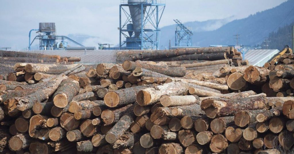 U.S. plans to nearly triple anti-dumping duty on Canadian softwood as tariffs loom