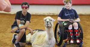 World’s oldest llama enjoys comforting chronically ill children in North Carolina World’s oldest llama enjoys comforting chronically ill children in North Carolina