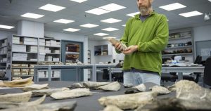 Ancient humans made tools from animal bones 1.5 million years ago
