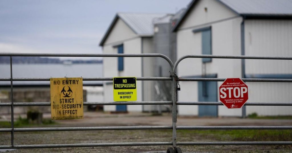 Health officials in Ontario’s Peel Region suspect avian flu in wild bird deaths