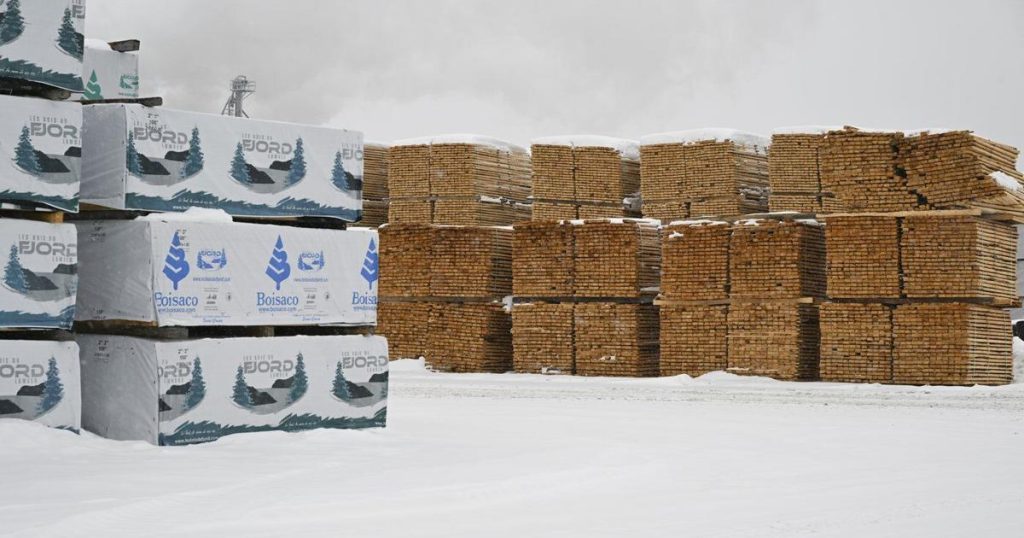 Trump and commerce secretary indicate dairy and lumber tariffs may wait until April