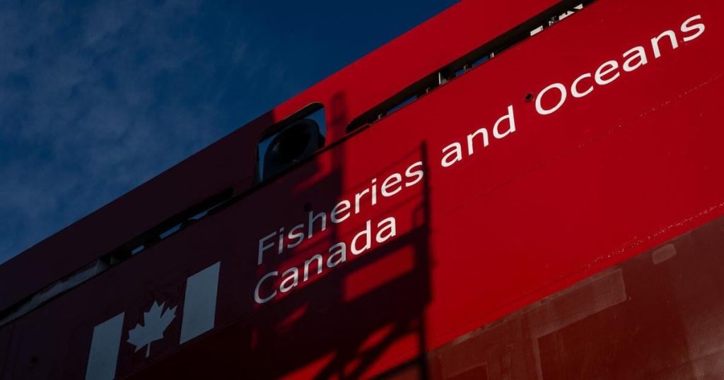 First Nation on Vancouver Island alarmed over fish farm firm’s ship that hit a rock