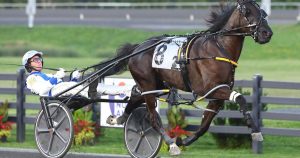 Unbeaten filly Chantilly among 69 horses nominated for -million North America Cup.