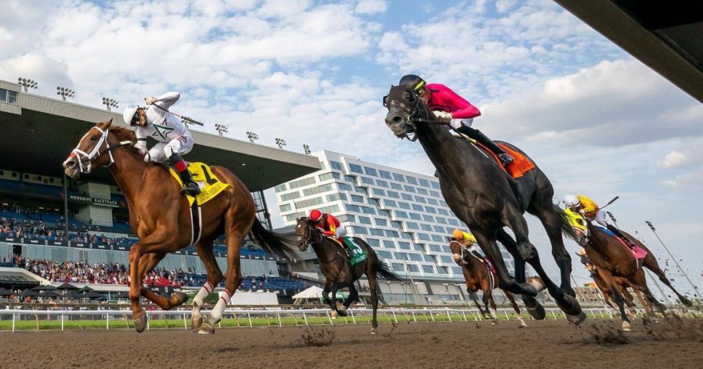 Top Canadian breeder says U.S. tariffs could cripple horse-racing industry