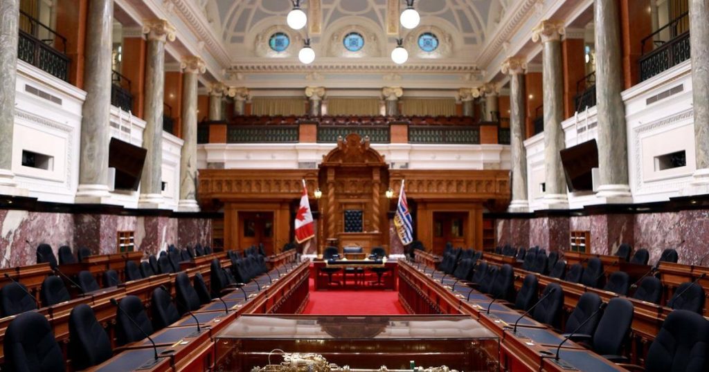 Rare unanimous support for B.C. bill on perinatal, postnatal mental health care