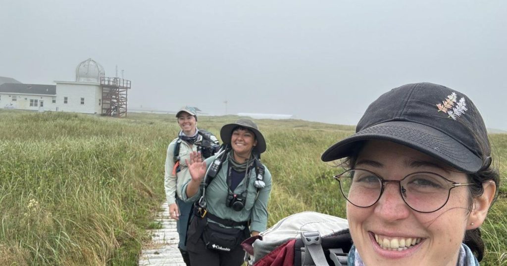 Researchers share lessons on science, friendship on Nova Scotia’s wild Sable Island