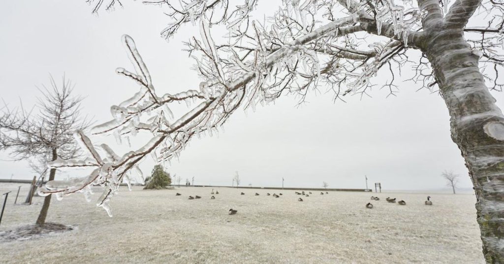 Snow, freezing rain hitting much of Canada causing crashes, road closures