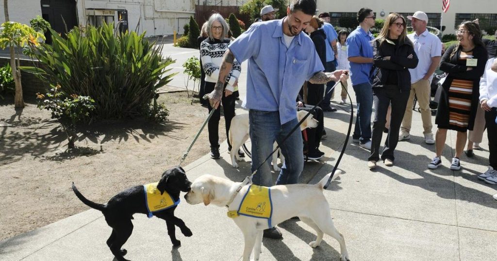 Tears and tail wags: Inmates reunite with service dogs they raised