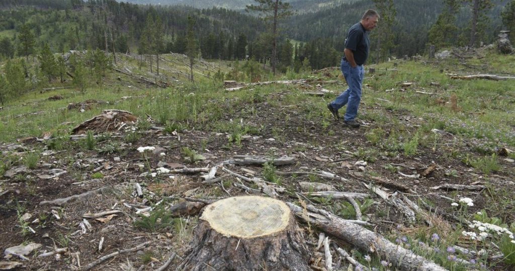Trump administration rolls back forest protections in bid to ramp up logging