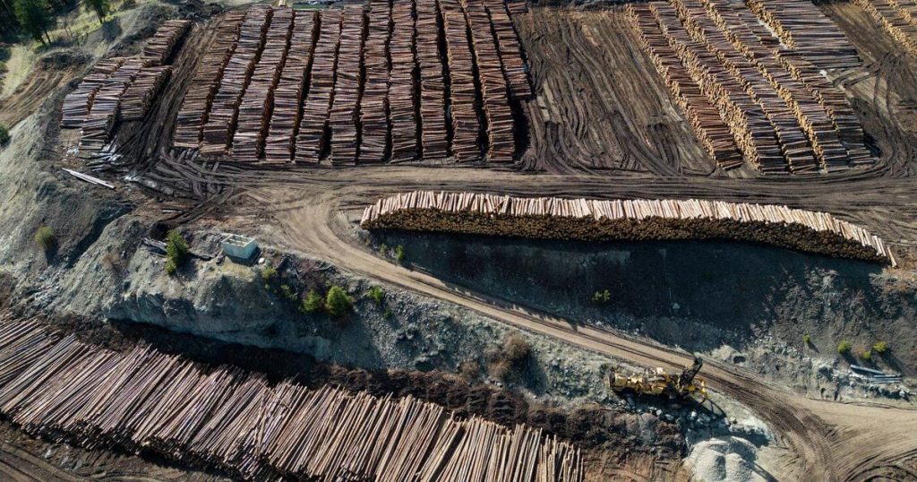 B.C. Premier to meet with Mark Carney over the soaring lumber duties imposed by U.S.