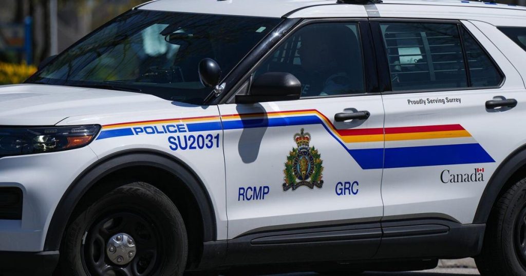 Single-vehicle crash in Halifax leaves New Brunswick woman dead: RCMP