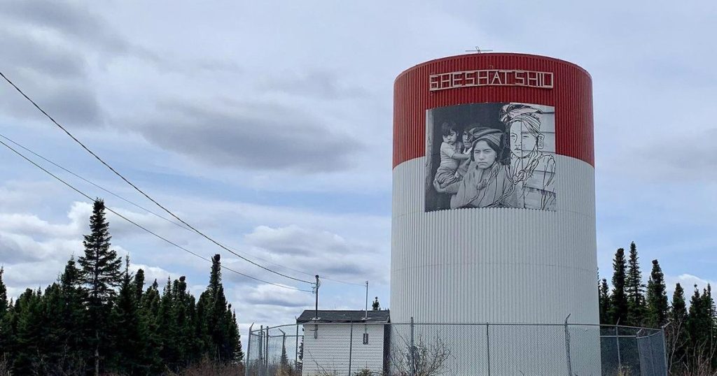 Government social services are ‘significant agent’ of colonialism, N.L. inquiry hears