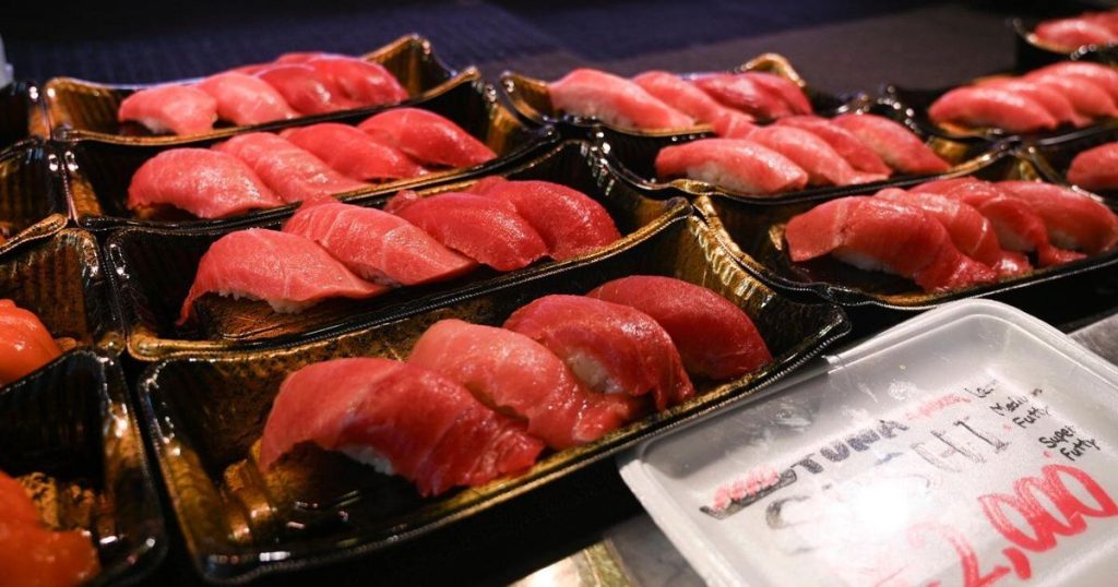 A machine using ultrasound and AI can gauge the fattiness of a tuna fish