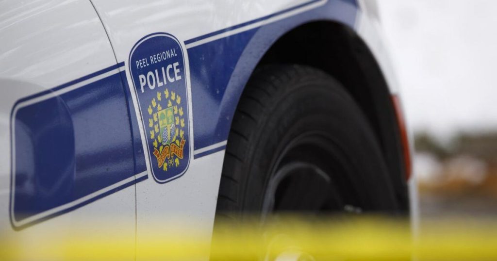 Mississauga, Ont., man charged after puppies found dead or mutilated: police