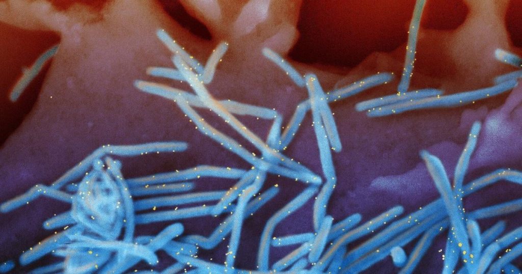 Experts recommendations on RSV and meningitis vaccines will go to ex-prosecutor now at CDC