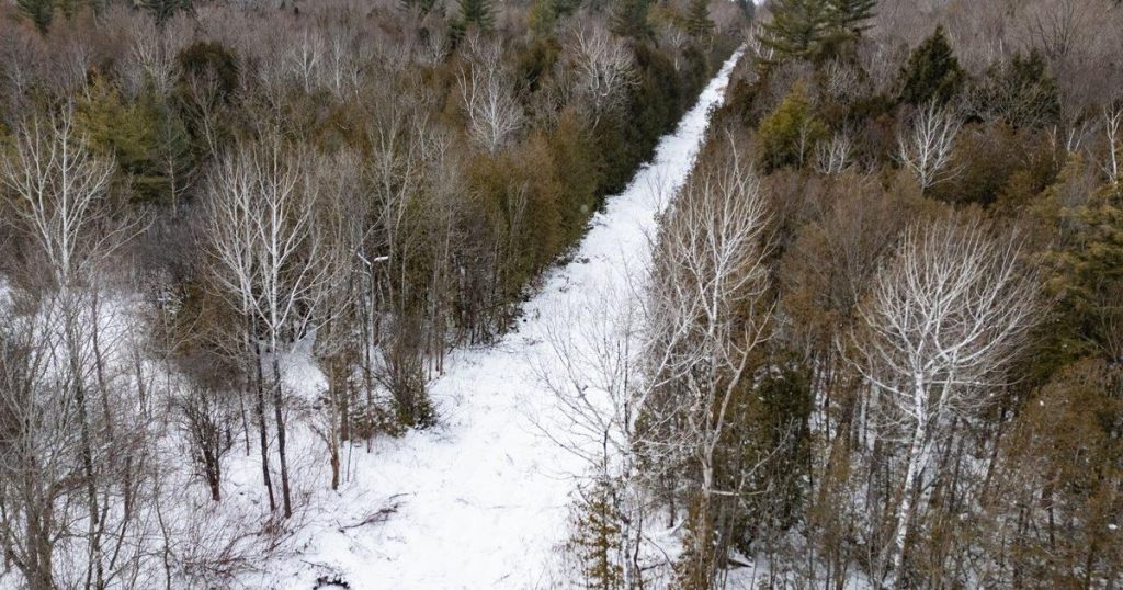 Woman, two young children missing after trying to cross border into Canada: RCMP