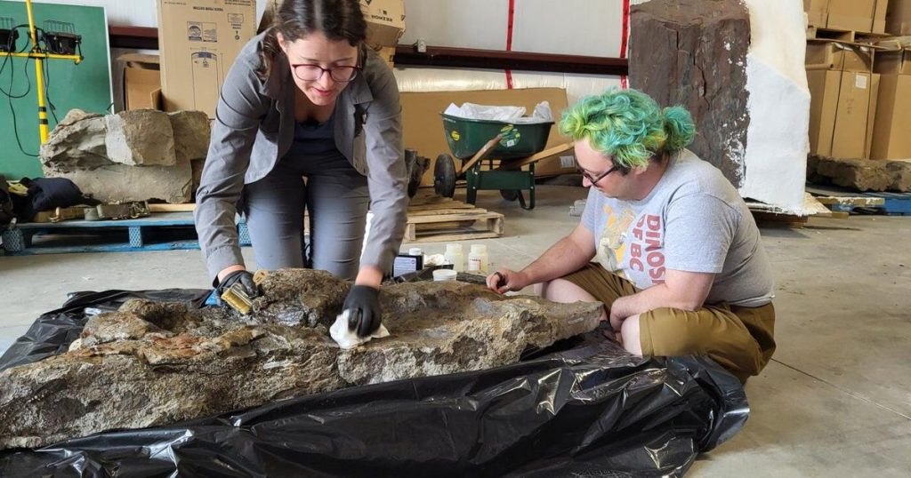 B.C. researchers confirm footprints of three-toed dinosaur with club-like tail