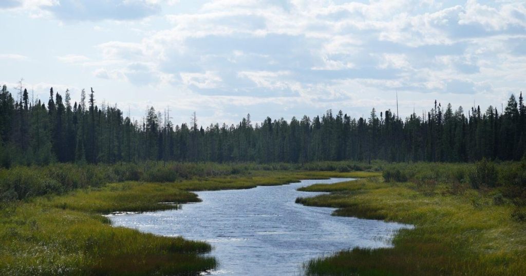 Canada has the critical minerals Donald Trump wants. So what should we do with them?