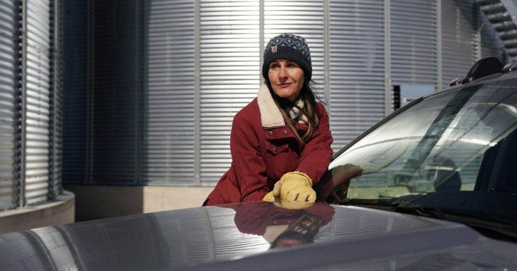 ‘It feels personal’: Canadian farmers cope with Chinese tariffs on canola and peas