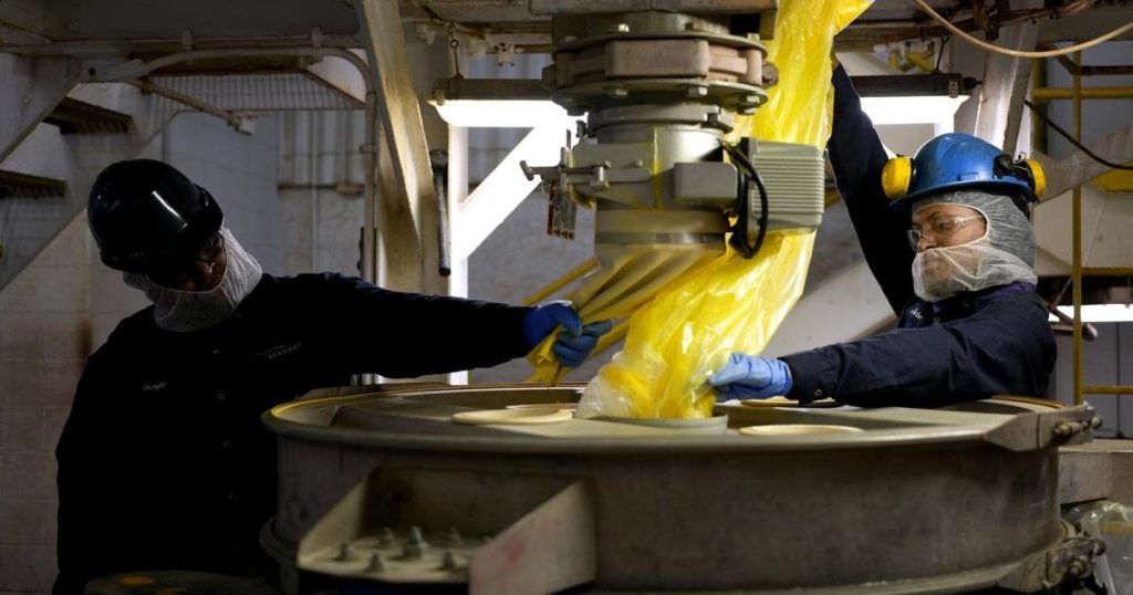 How bugs and beet juice could play roles in the race to replace artificial dyes in food