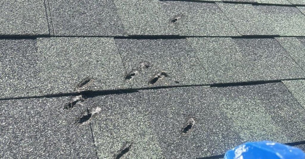 RCMP investigate latest case of gunshot targeting home of N.S. lobster buyer