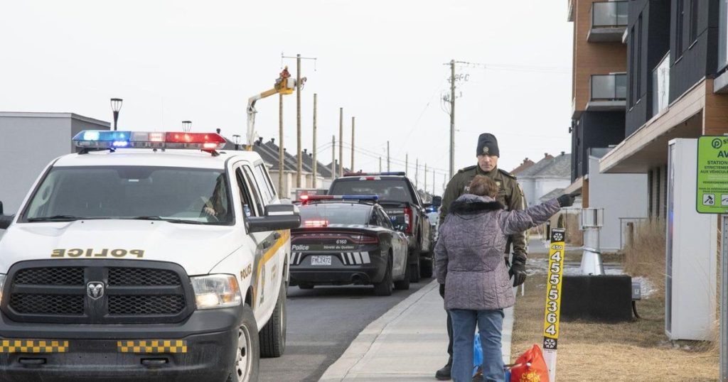 Quebecer who stabbed to death mother and a neighbour found not criminally responsible