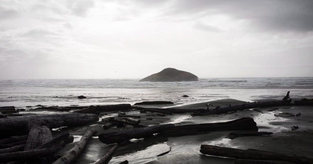 Bryde’s whale washes ashore in only known sighting of the animal in B.C.
