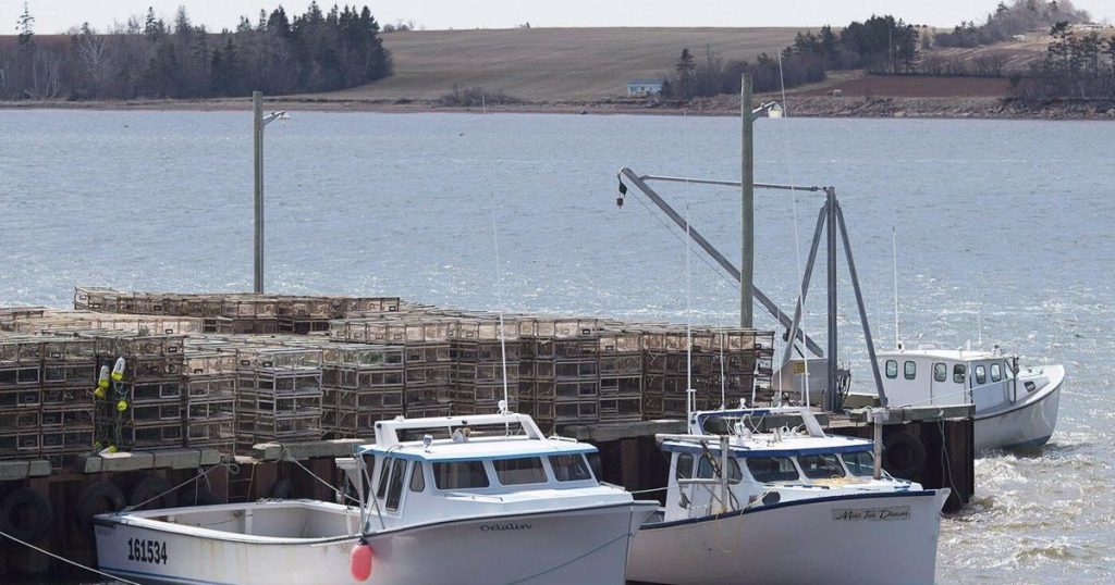 P.E.I. First Nation says fisheries officers seized 300 Indigenous lobster traps