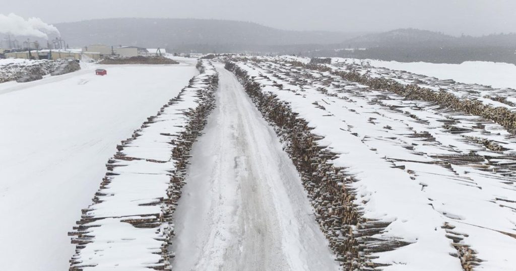 Indigenous groups send eviction notice to Quebec forestry companies