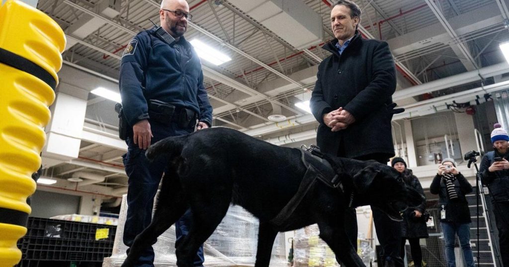 Liberal border security bill poses serious threat to rights, coalition warns