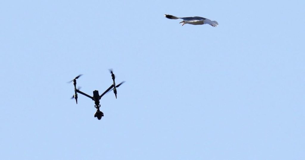Drones and contraband pose everyday challenges in Quebec detention centres