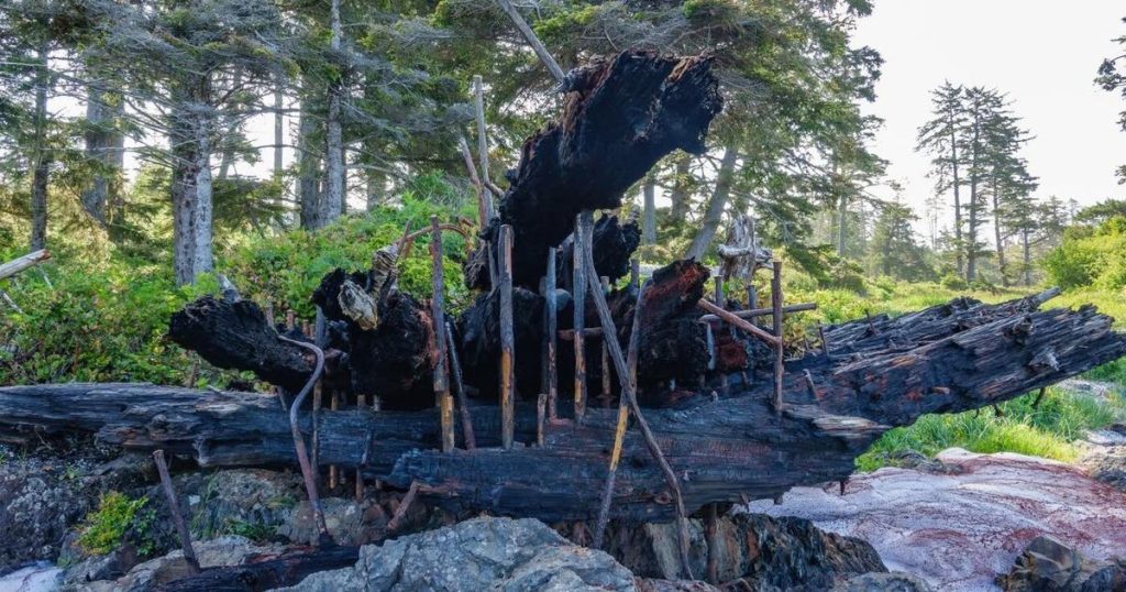 128-year-old shipwreck on Vancouver Island charred by fire