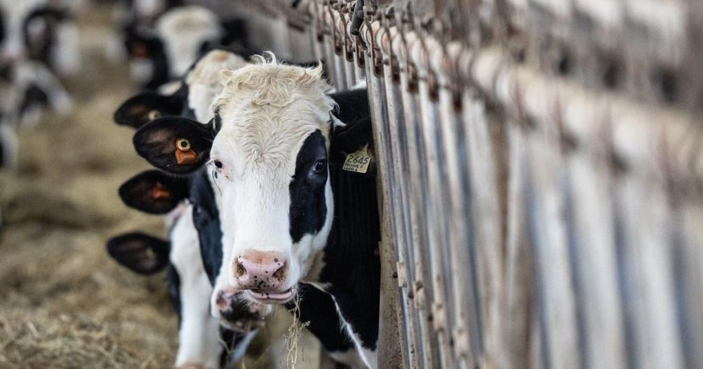 Bloc Québécois supply management bill moves swiftly through Parliament