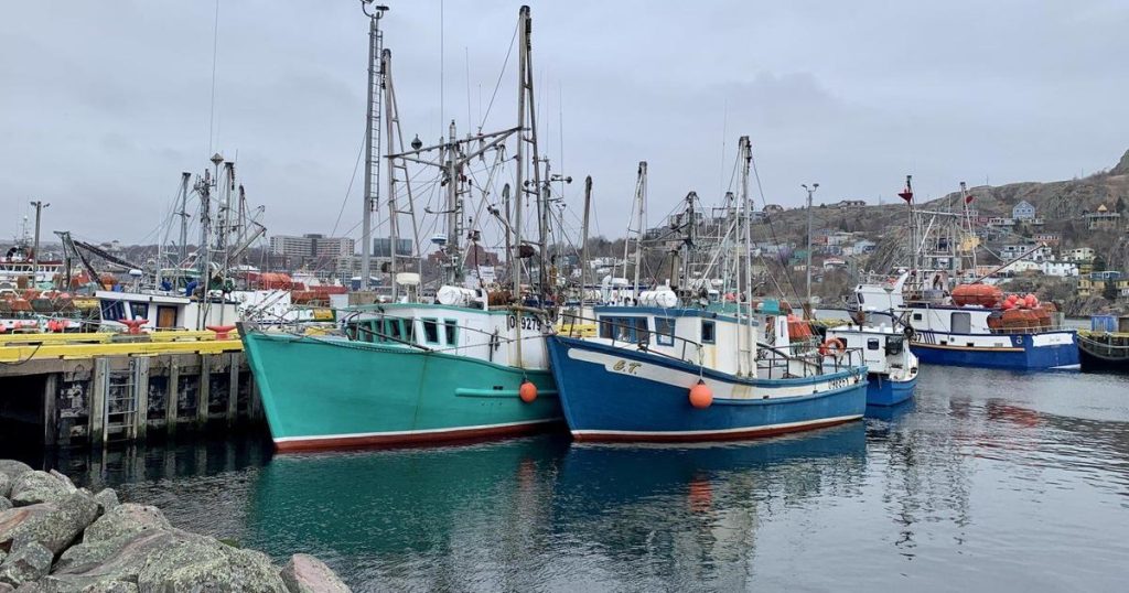 Scientists question Ottawa more than doubling cod catch in Newfoundland and Labrador