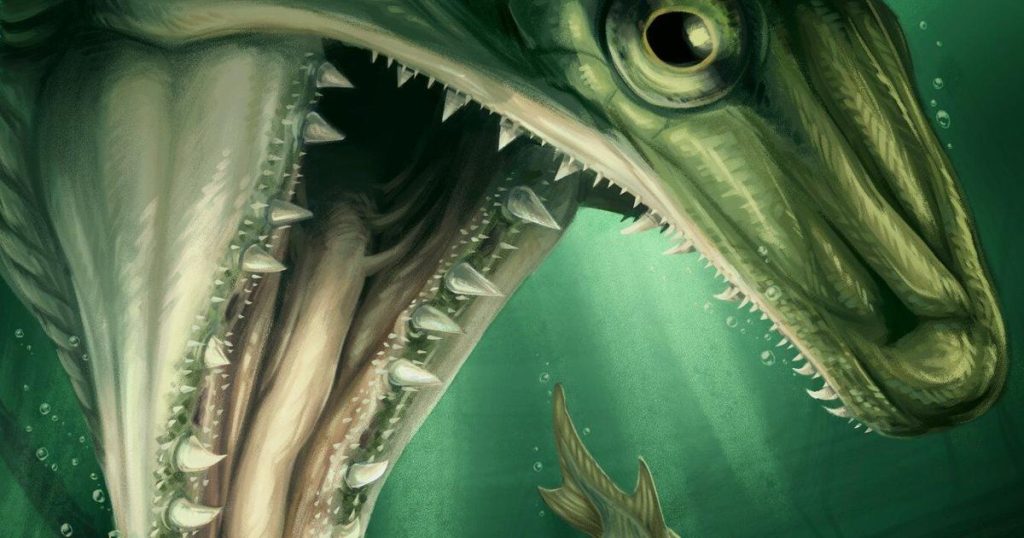 Researchers discover ancient predatory, fanged fish that swam in Nova Scotia waters