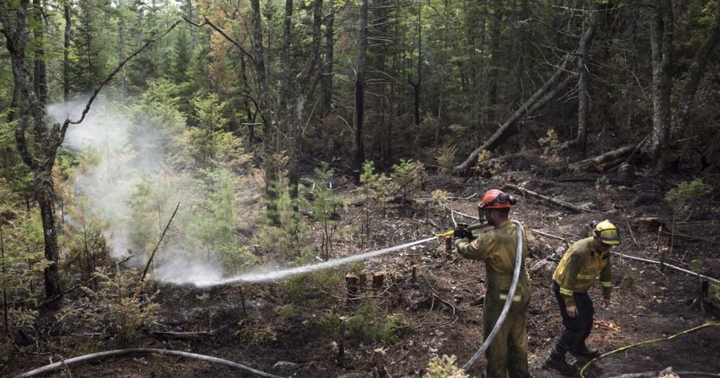 Some residents allowed to return after forest fire in Halifax area prompts evacuation