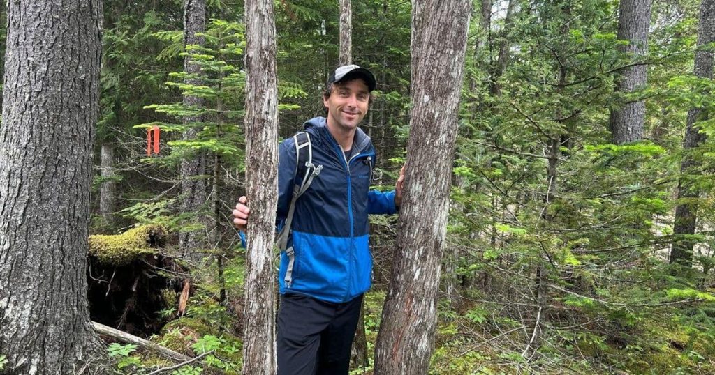 Saint John warned against paving old-growth forest and putting up industrial park