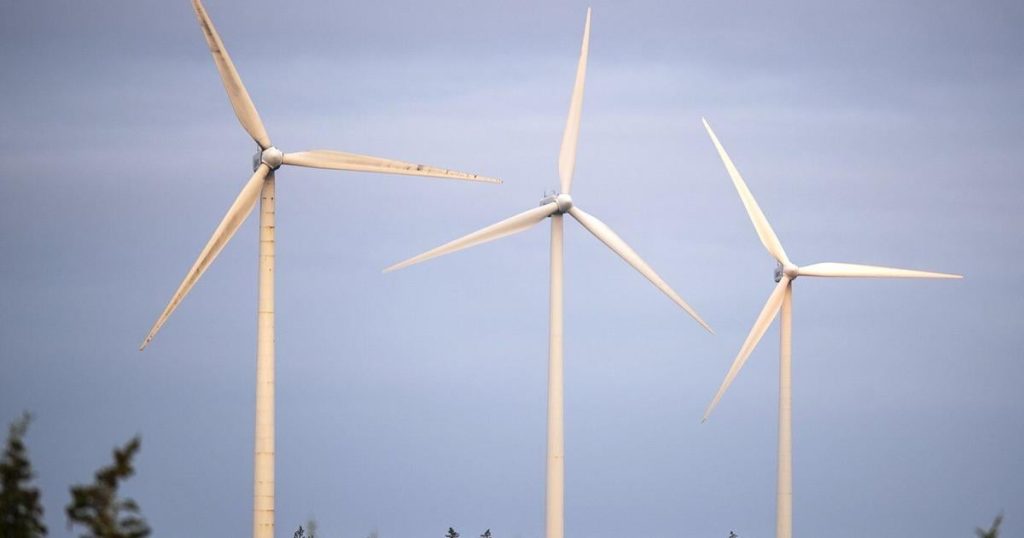 Donald Trump’s disdain for wind energy could create windfall for Nova Scotia: experts