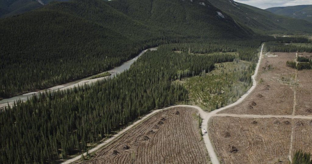 Alberta reaches settlement with two coal companies suing over policy flip-flop