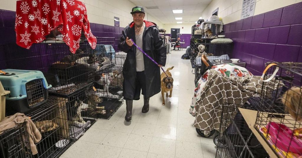 How to prepare your pets for when a hurricane makes it rain cats and dogs