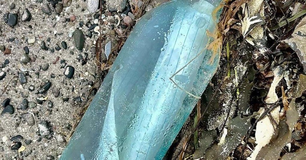 Newfoundland couple’s love note in a bottle found 13 years later on Irish shore