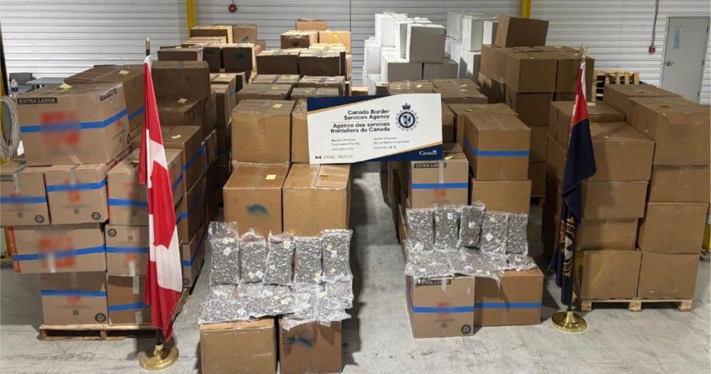 N.B. border guards say they seized biggest shipment of suspected cannabis since 2015