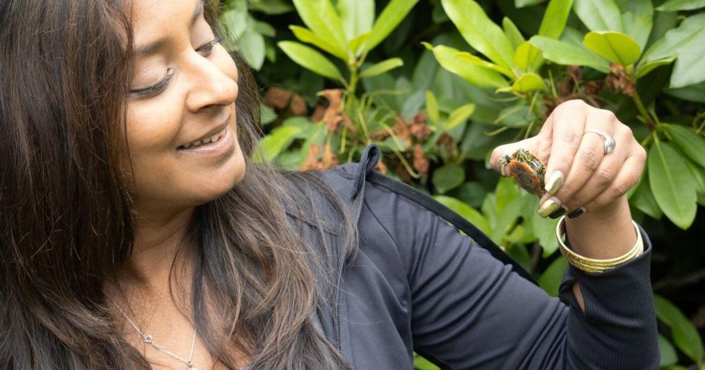 Slow and steady progress in decade-long project to save B.C.’s only native turtle